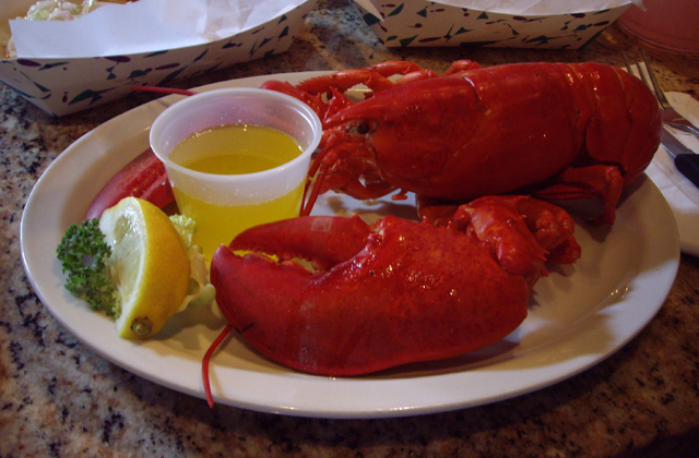 Lobster